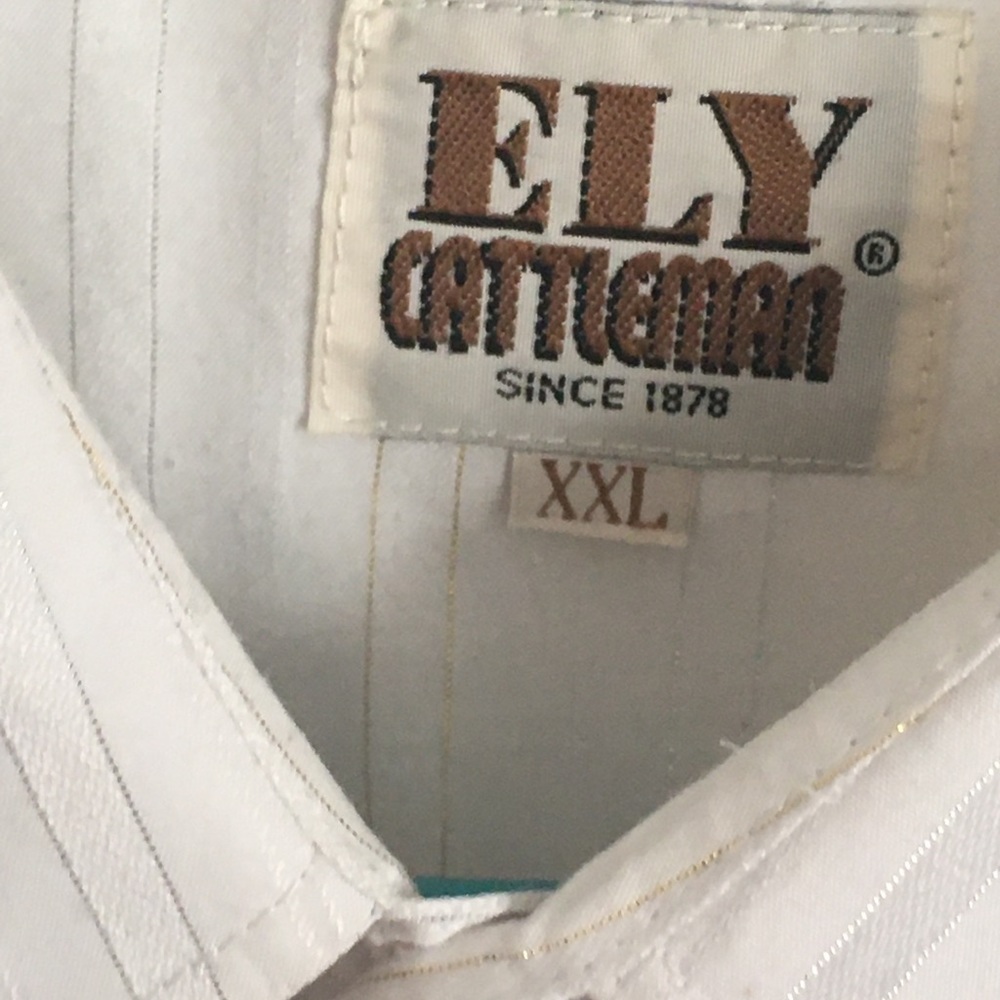 Ely cattlemen